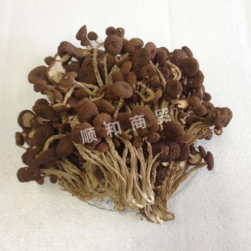 茶树菇58元/斤